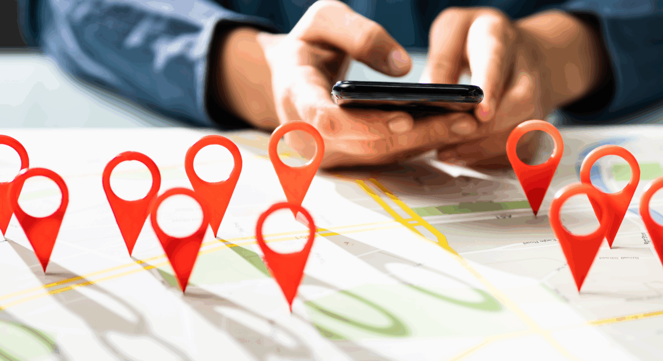 Local search ecosystem overview